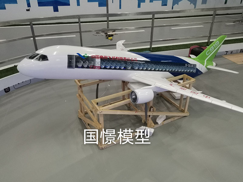金沙县飞机模型