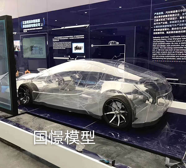 金沙县透明车模型
